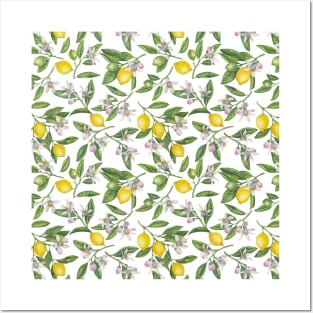 Lemon branches with blossoms and fruit 4 Posters and Art